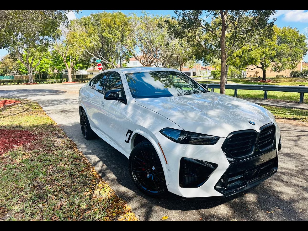 2026 BMW X6