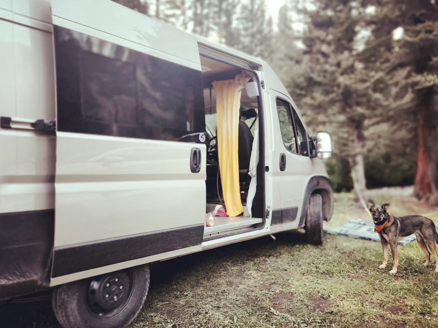 All-Season Colorado camper van | 2024 Dave & Matt Vans