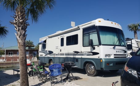 2001 Winnebago Brave