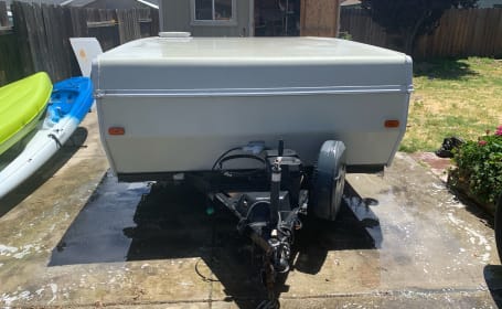 2013Palomino Forester
