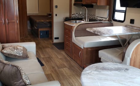 2018 Coachmen Pursuit