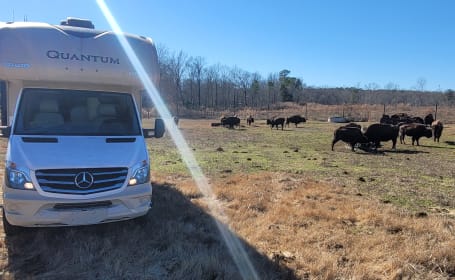 Mighty Thor – Easy Drive, Big Adventure