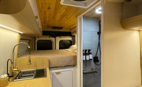 Hidden Gem - Freedom Edition