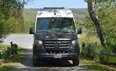 Balou -  2021 Mercedes-Benz Sprinter
