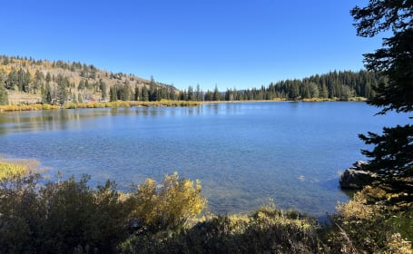 Go Glamping in this 2020 Heartland Sleeps 6-8! Pet friendly with deposit