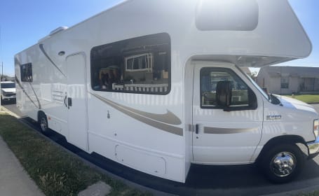 The Majestic Cruiser