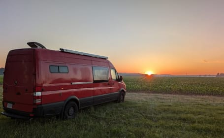 Rojita Viajera
