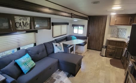 2019 Coachmen Apex