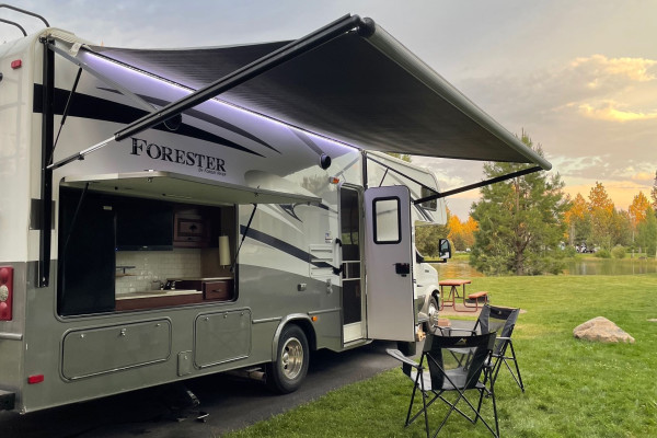 North of 42º - Forest Finder