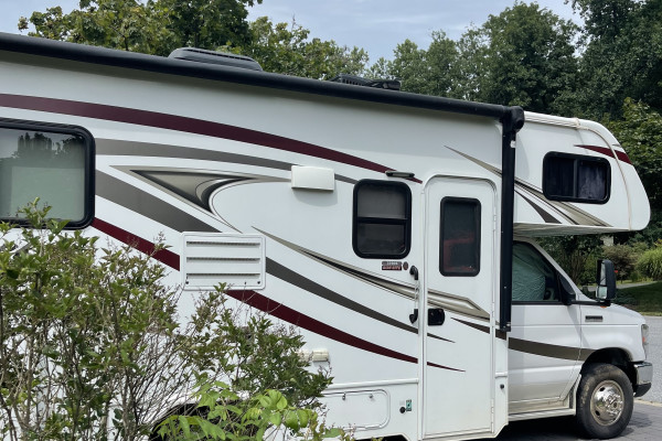 Sassy Shown Sunseeker