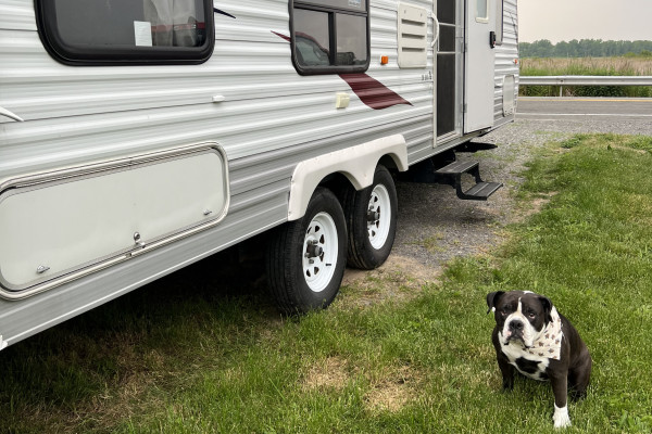 2011 Jayco Jay Flight **PET FRIENDLY ** Sleeps 8