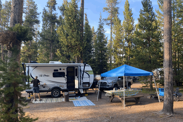 2021 Forest River E-Pro Bunks! Tailgating, kid, pet friendly