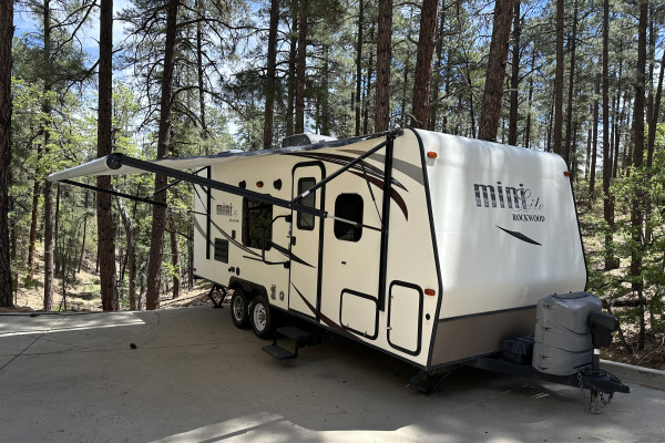 Forest River Mini Lite /Delivered or Travel/ Loaded- Your adventure awaits!