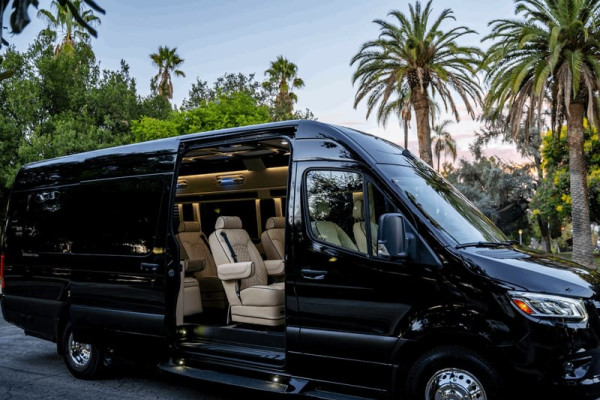 Ultimate Toys Ultimate Coach