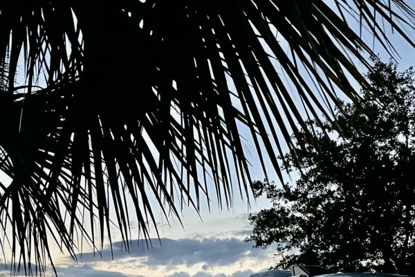 Magnolia 3 - 2022 Airstream Sport 22FB *Fully Loaded*