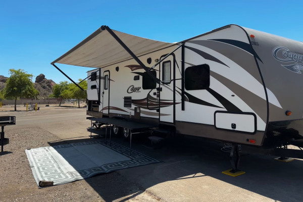 Ellison’s Cozy Cougar (DELIVERY ONLY)