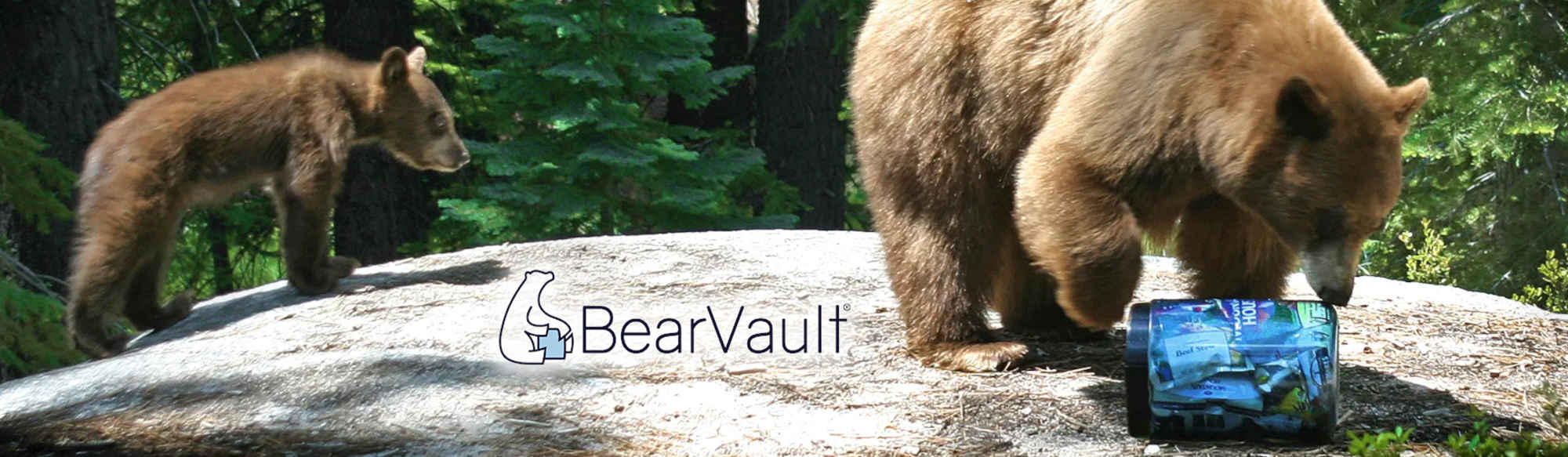 Bearvault