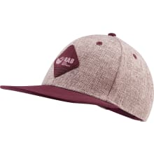 Flatiron Badge Cap