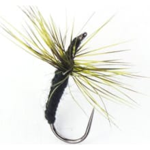 Ishigaki Fly 3 Pack - Size 12