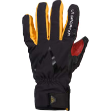 Skimo Gloves Evo