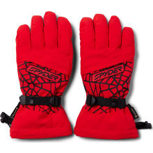 Men's Overweb Gtx Gloves