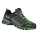 Men's Mountain Trainer Lite Gtx