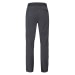 Men's Ascendor Light Pants