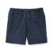 Men's Dry Falls Shorts