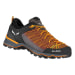 Ms Mtn Trainer Lite