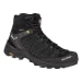 Men's Alp Trainer 2 Mid Gtx