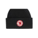 1960 Logo Hat