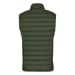 Men's Fanes Sarner/rds Down Hybrid Vest