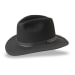 Twf1  Fedora