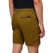 Men's Stretch Zion 8 Short