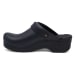 Women's Ingrid Clogs