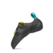 Men's Vapor V