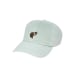 Washed Low-profile Logger Cap