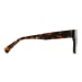 Men's Roscoe Sunglasses