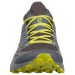 Men's Kaptiva Gtx