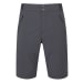 Men's Ascendor Light Shorts