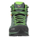 Men's Alp Trainer 2 Mid Gtx