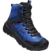 Men's Revel Iv Exp Mid Polar