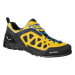 Men's Firetail 3 Gtx