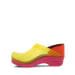 Women's Professional Clog