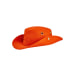 T3 Hat