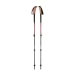 Trail Ergo Cork Trekking Poles