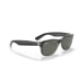 New Wayfarer