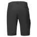 Men's Abisko Lite Shorts