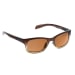 Flatirons Sunglasses