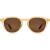 Ivory / Brown 12%